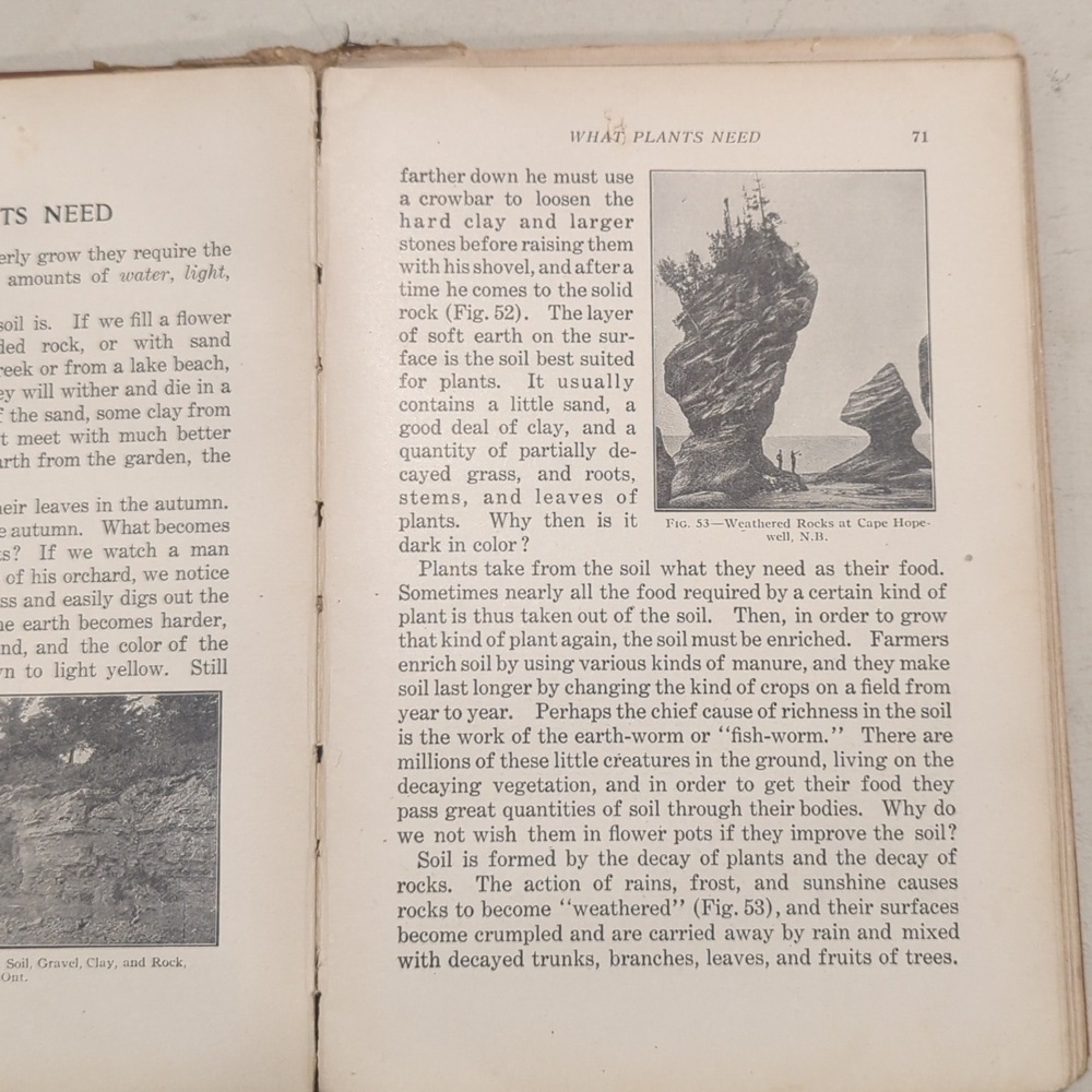 Early 1900's Geography Textbook - Picture 7 of 13